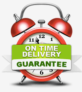 Personal Statement Writers On Time Delivery Guarantee